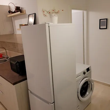 Apartment Ema's Spacious Studio Morarilor