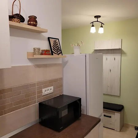 Ema's Spacious Studio Morarilor Apartment Bucharest