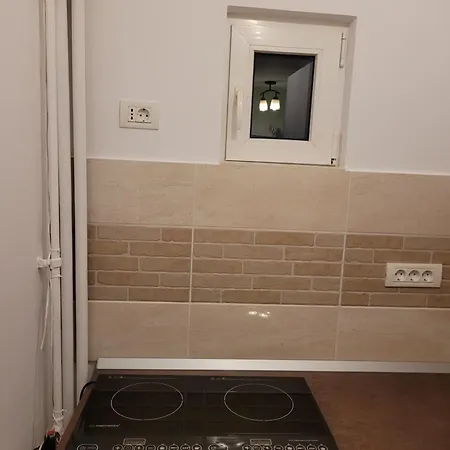 Ema's Spacious Studio Morarilor Apartment Bucharest