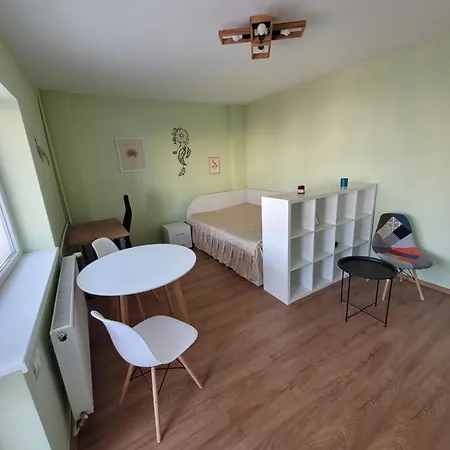Ema's Spacious Studio Morarilor