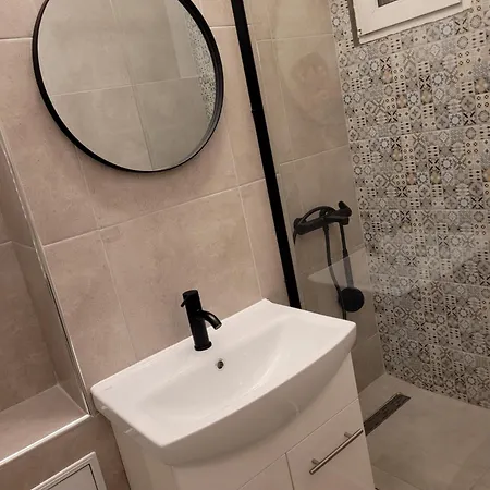 Apartment Ema's Spacious Studio Morarilor Bucharest